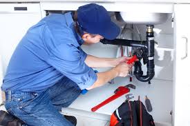 Best Pipe Inspections and Diagnostics  in Locust Fork, AL